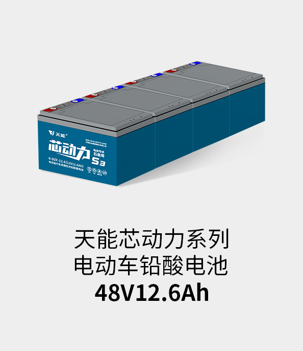 猫先生MRCAT电池48v12ah