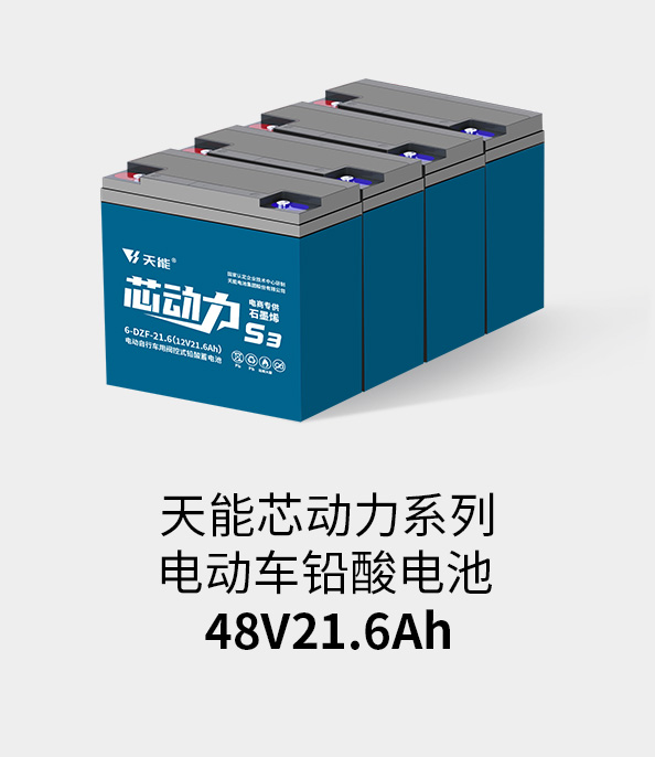 猫先生MRCAT电池48v20ah