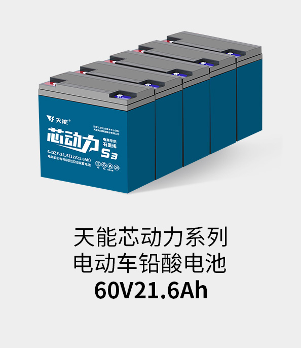猫先生MRCAT电池60v20ah