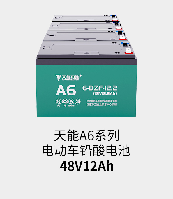 猫先生MRCAT电池48v12ah