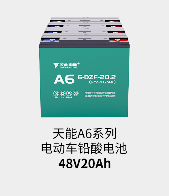 猫先生MRCAT电池48v20ah