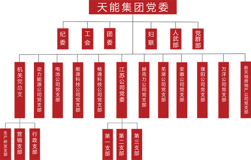 猫先生MRCAT建团党委组织架构